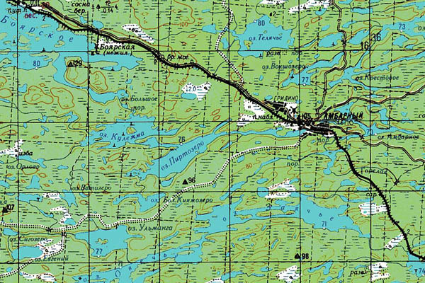 Уменьшенный фрагмент представленной топографической карты Q-36-21_22 - Trasa.ru