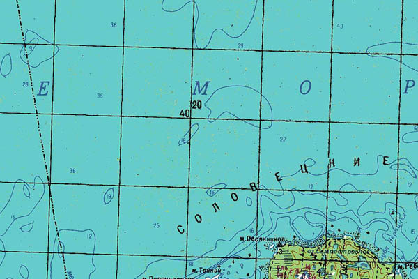 Уменьшенный фрагмент представленной топографической карты Q-36-29_30 - Trasa.ru