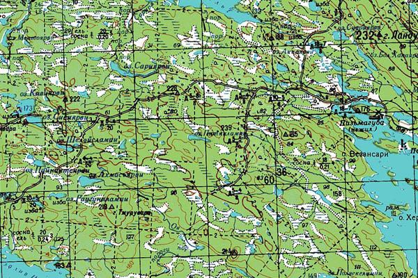 Уменьшенный фрагмент представленной топографической карты Q-36-31_32 - Trasa.ru