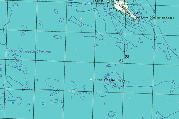 Уменьшенный фрагмент представленной топографической карты Q-36-35_36 - Trasa.ru
