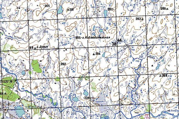 Уменьшенный фрагмент представленной топографической карты Q-37-01_02 - Trasa.ru