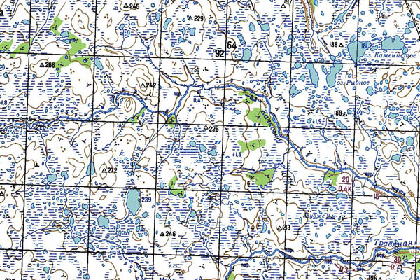 Уменьшенный фрагмент представленной топографической карты Q-37-05_06 - Trasa.ru