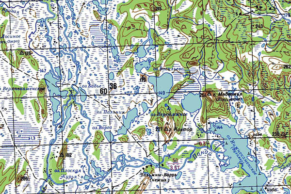 Уменьшенный фрагмент представленной топографической карты Q-37-07_08 - Trasa.ru