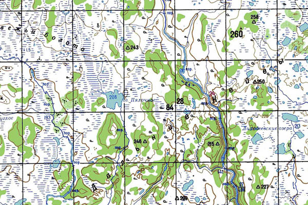 Уменьшенный фрагмент представленной топографической карты Q-37-15_16 - Trasa.ru