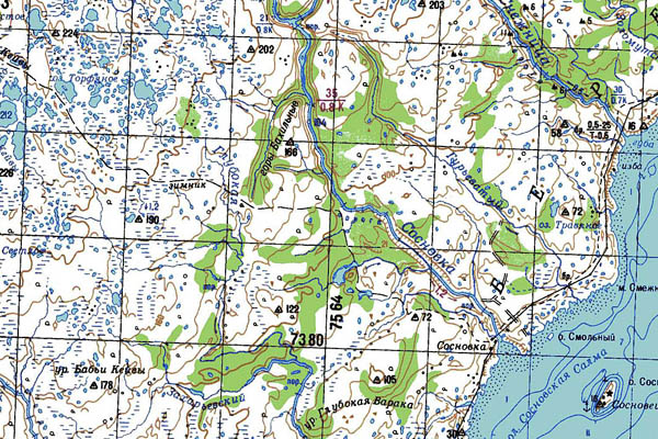 Уменьшенный фрагмент представленной топографической карты Q-37-17_18 - Trasa.ru