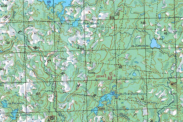 Уменьшенный фрагмент представленной топографической карты Q-37-31_32 - Trasa.ru