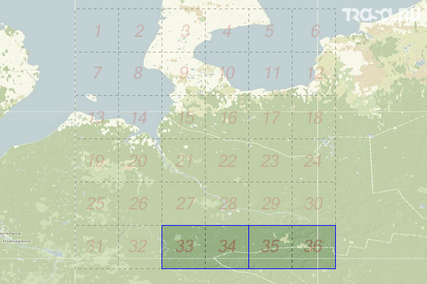 Набор топографических карт квадрата Q-38 - Trasa.ru