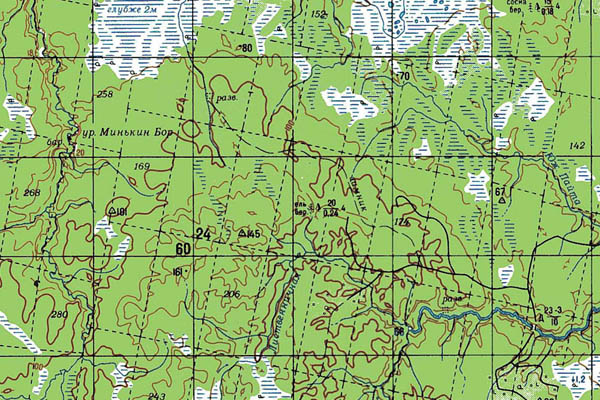Уменьшенный фрагмент представленной топографической карты Q-38-33_34 - Trasa.ru