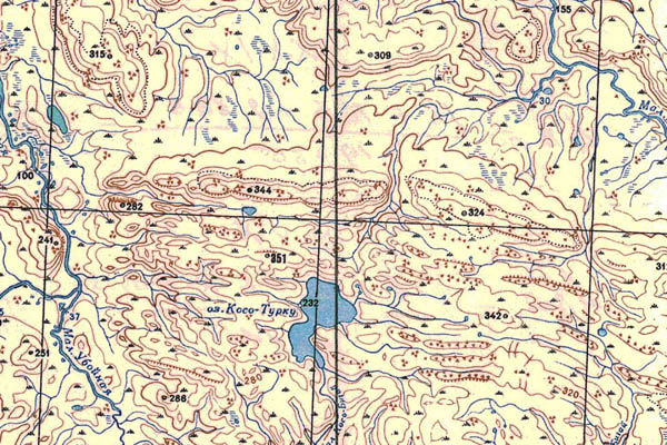 Уменьшенный фрагмент представленной топографической карты S-44-29_30 - Trasa.ru