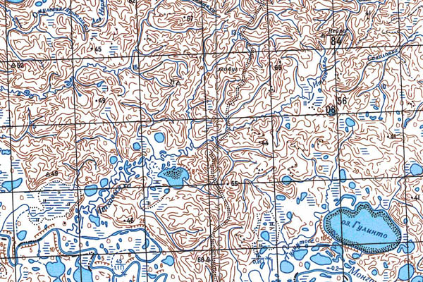 Уменьшенный фрагмент представленной топографической карты S-44-31_32 - Trasa.ru