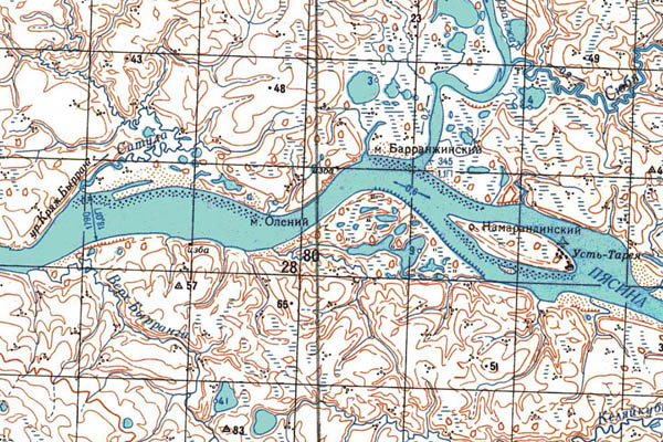 Уменьшенный фрагмент представленной топографической карты S-45-29_30 - Trasa.ru
