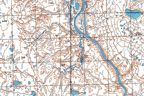 Уменьшенный фрагмент представленной топографической карты S-45-31_32 - Trasa.ru