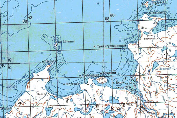 Уменьшенный фрагмент представленной топографической карты S-46-01_02 - Trasa.ru