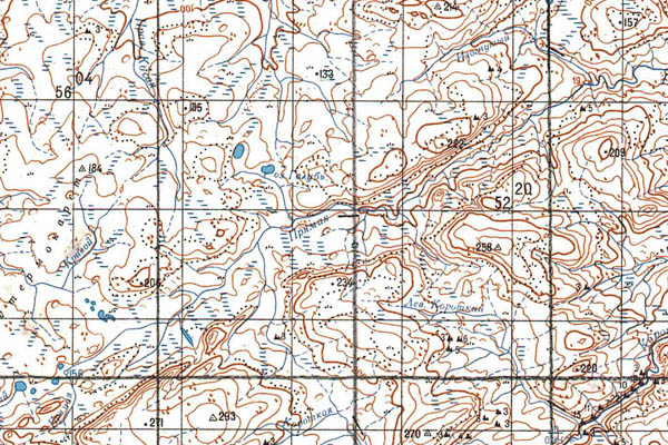 Уменьшенный фрагмент представленной топографической карты S-47-09_10 - Trasa.ru
