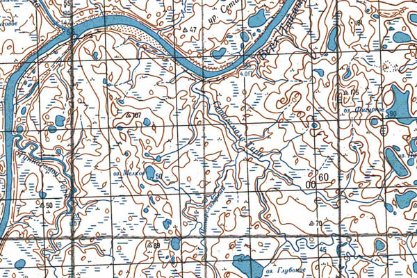 Уменьшенный фрагмент представленной топографической карты S-47-19_20 - Trasa.ru
