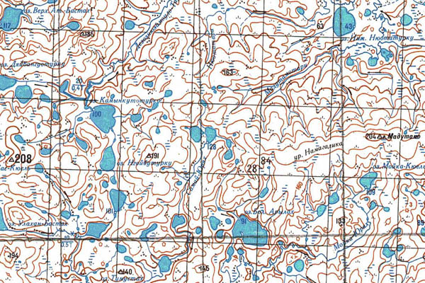 Уменьшенный фрагмент представленной топографической карты S-47-29_30 - Trasa.ru