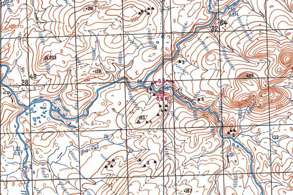 Уменьшенный фрагмент представленной топографической карты S-48-01_02 - Trasa.ru