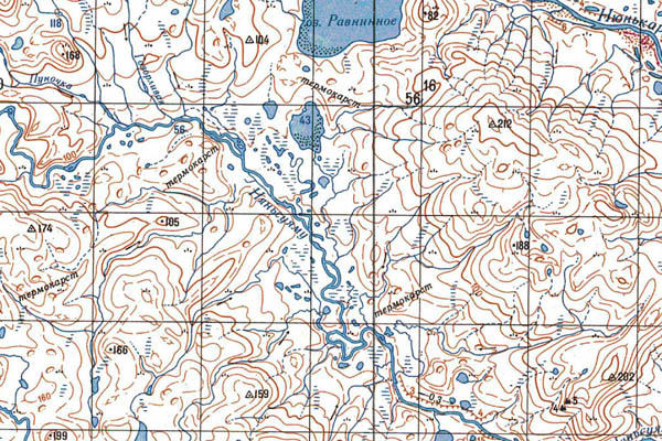 Уменьшенный фрагмент представленной топографической карты S-48-09_10 - Trasa.ru