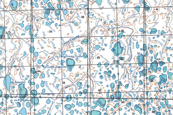 Уменьшенный фрагмент представленной топографической карты S-49-25_26 - Trasa.ru