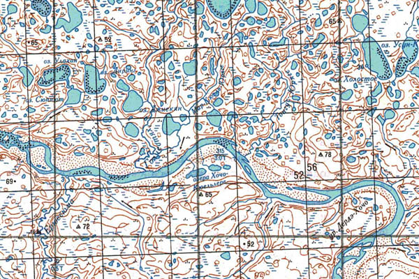 Уменьшенный фрагмент представленной топографической карты S-49-31_32 - Trasa.ru
