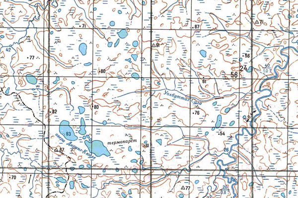 Уменьшенный фрагмент представленной топографической карты S-49-33_34 - Trasa.ru