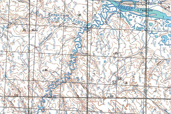 Уменьшенный фрагмент представленной топографической карты S-49-35_36 - Trasa.ru