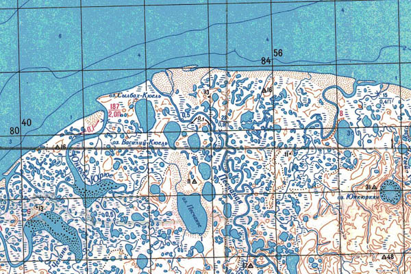 Уменьшенный фрагмент представленной топографической карты S-50-19_20 - Trasa.ru