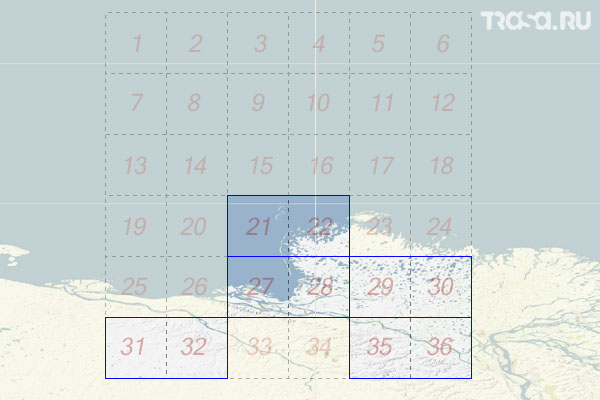 Набор топографических карт квадрата S-51 - Trasa.ru