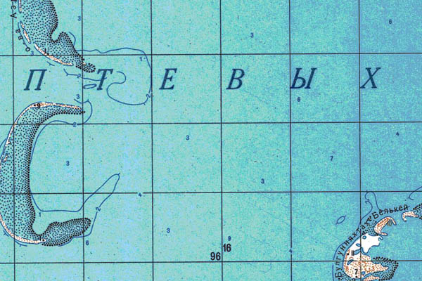 Уменьшенный фрагмент представленной топографической карты S-51-21_22 - Trasa.ru