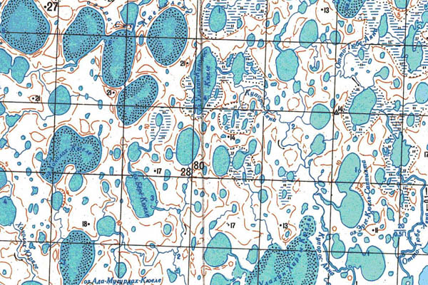 Уменьшенный фрагмент представленной топографической карты S-51-29_30 - Trasa.ru