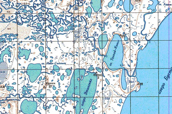 Уменьшенный фрагмент представленной топографической карты S-54-33_34 - Trasa.ru