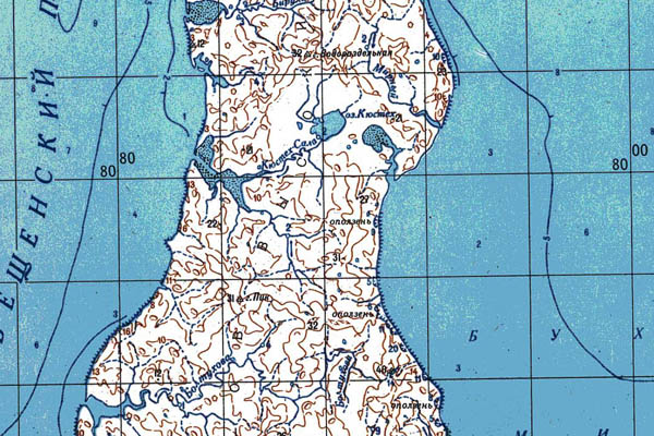 Уменьшенный фрагмент представленной топографической карты S-55-03_04 - Trasa.ru