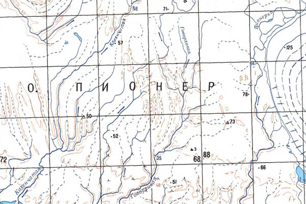 Уменьшенный фрагмент представленной топографической карты T-46-01_02_03 - Trasa.ru