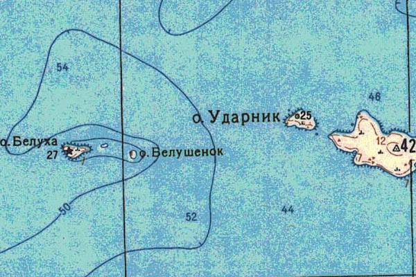 Уменьшенный фрагмент представленной топографической карты T-46-31_32_33 - Trasa.ru