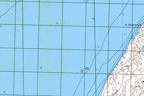 Уменьшенный фрагмент представленной топографической карты T-47-28_29_30 - Trasa.ru
