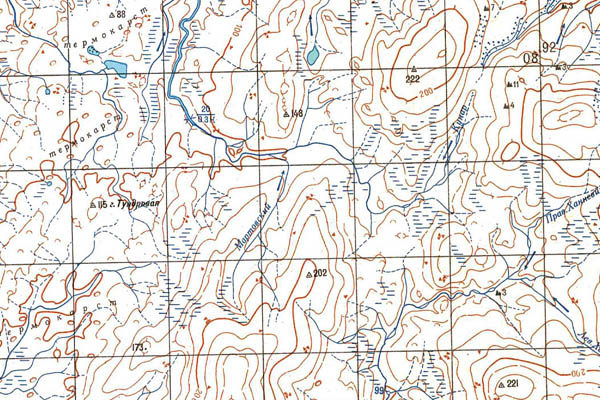 Уменьшенный фрагмент представленной топографической карты T-48-19_20_21 - Trasa.ru