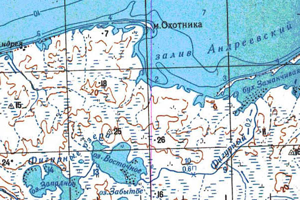 Уменьшенный фрагмент представленной топографической карты T-49-25_26_27 - Trasa.ru