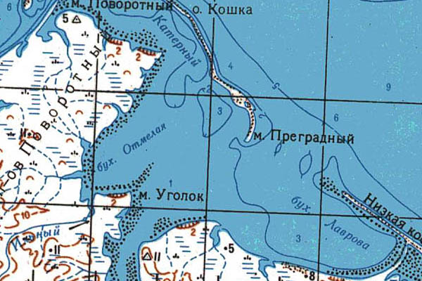 Уменьшенный фрагмент представленной топографической карты T-49-28_29_30 - Trasa.ru