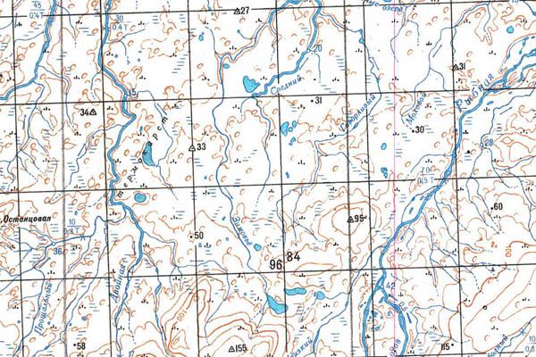 Уменьшенный фрагмент представленной топографической карты T-49-31_32_33 - Trasa.ru