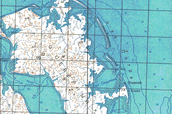 Уменьшенный фрагмент представленной топографической карты T-49-34_35_36 - Trasa.ru